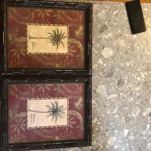 palm tree pictures